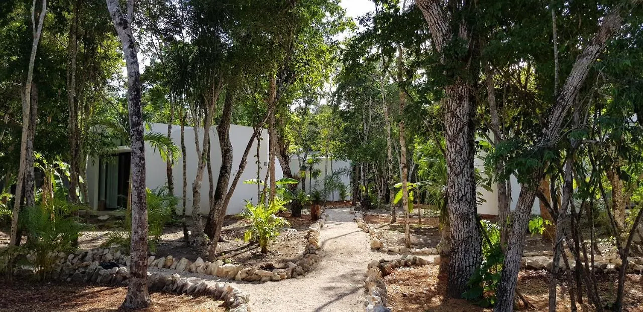 Wayak Jungle Villas Tulum