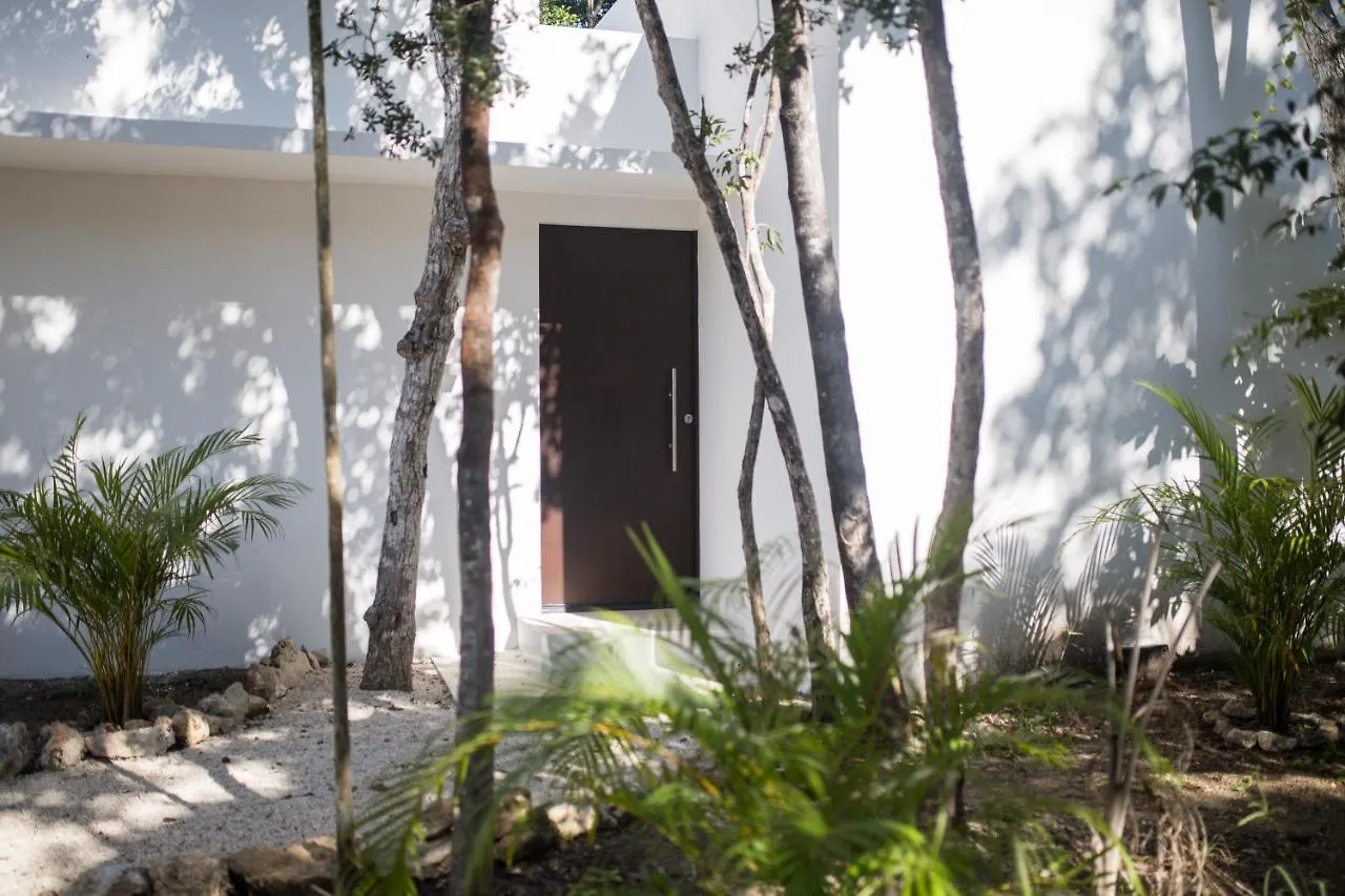 Wayak Jungle Villas Tulum